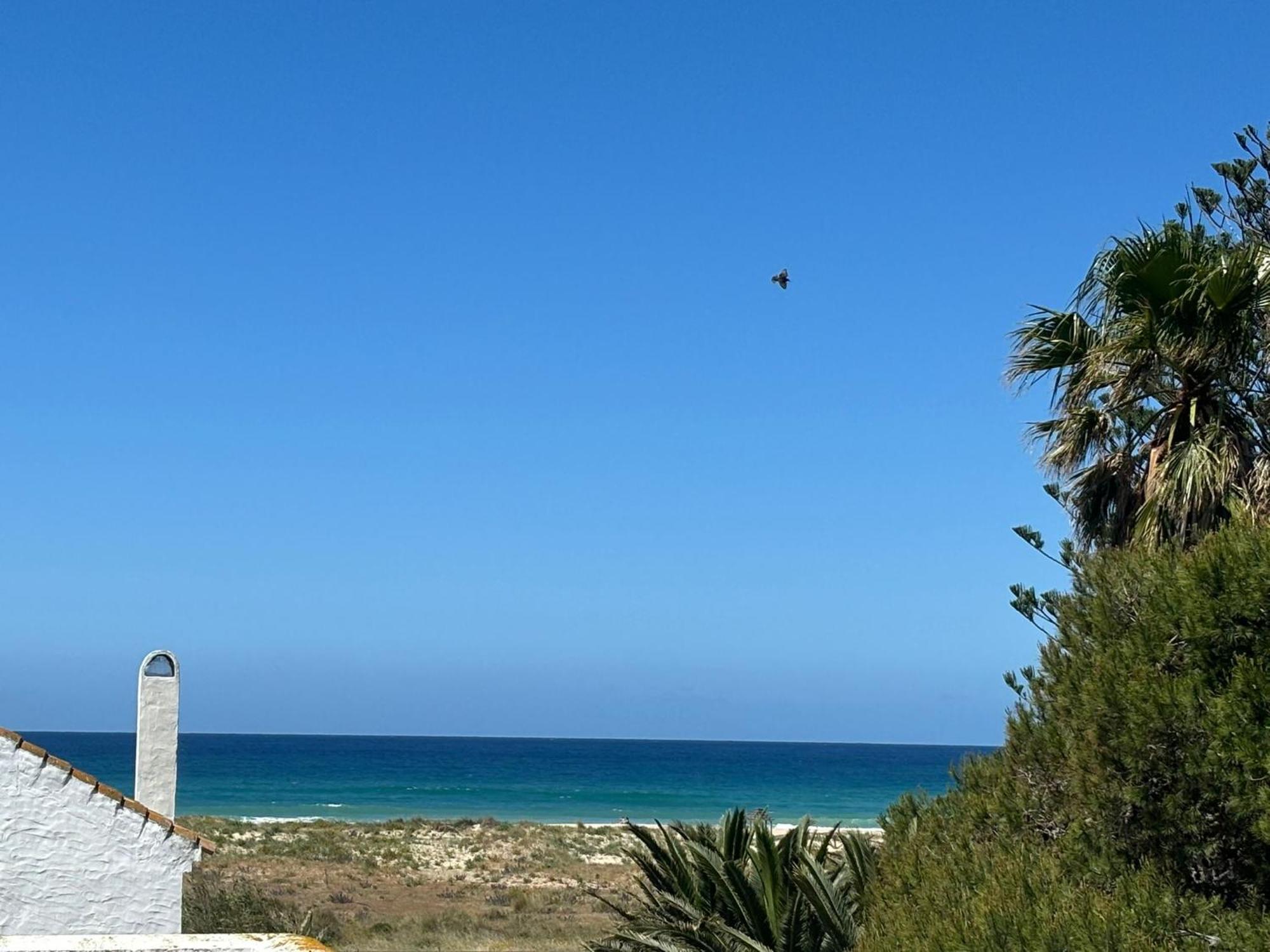 Zahara Villas Y Apartamentos Zahara de los Atunes Kültér fotó